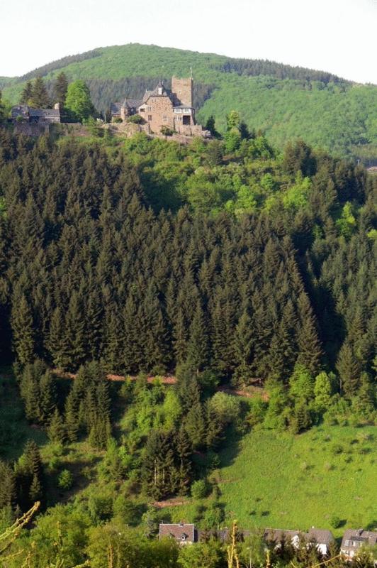 Panorama-Cafe Moselgarten Альф Экстерьер фото
